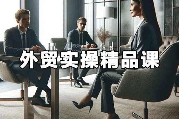 外貿(mào)實(shí)操精品課:外貿(mào)談判,新外貿(mào)形勢下的全網(wǎng)營銷-百萬資源網(wǎng)